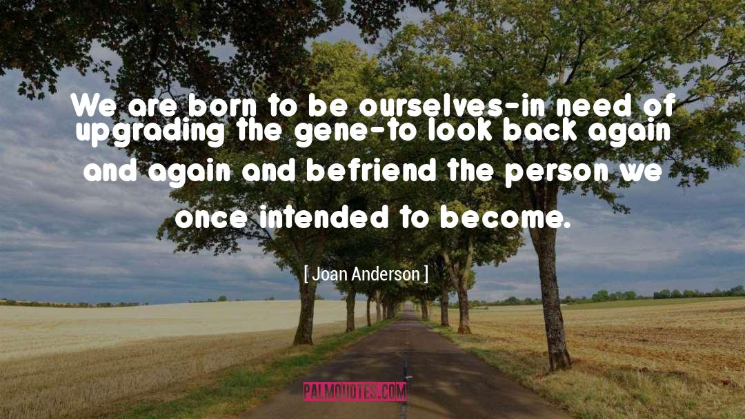 Befriend Best quotes by Joan Anderson