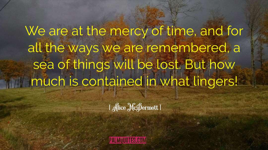 Beg For Mercy quotes by Alice McDermott