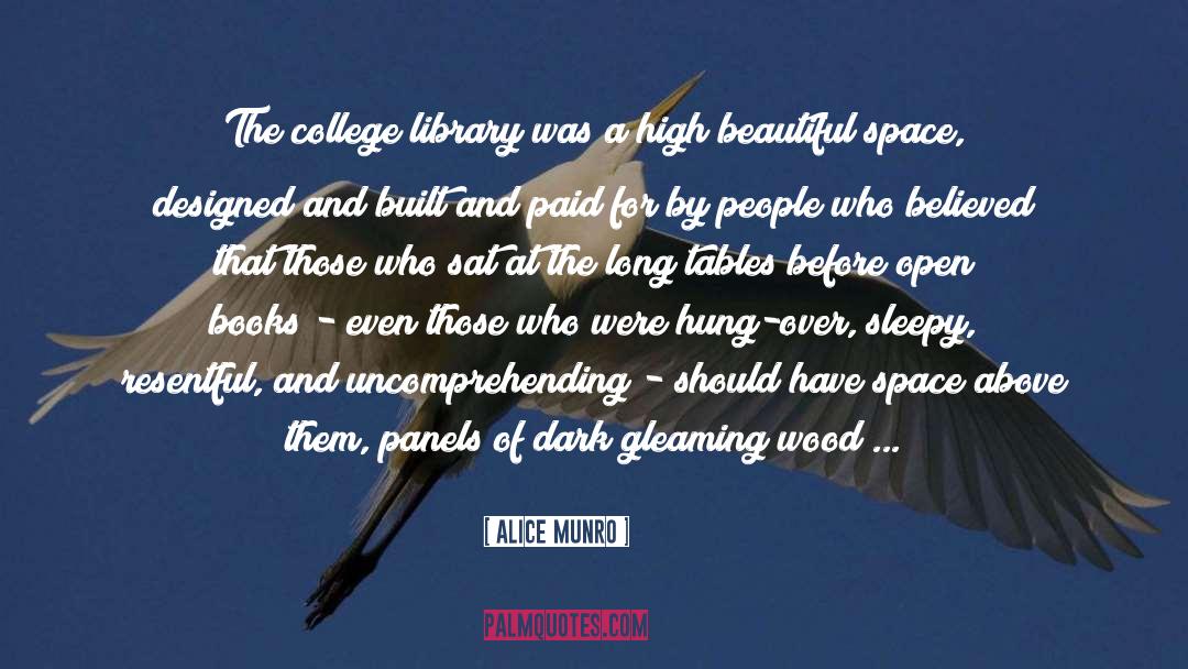 Began quotes by Alice Munro