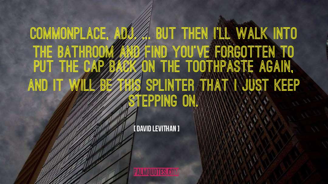 Begay Toothpaste quotes by David Levithan