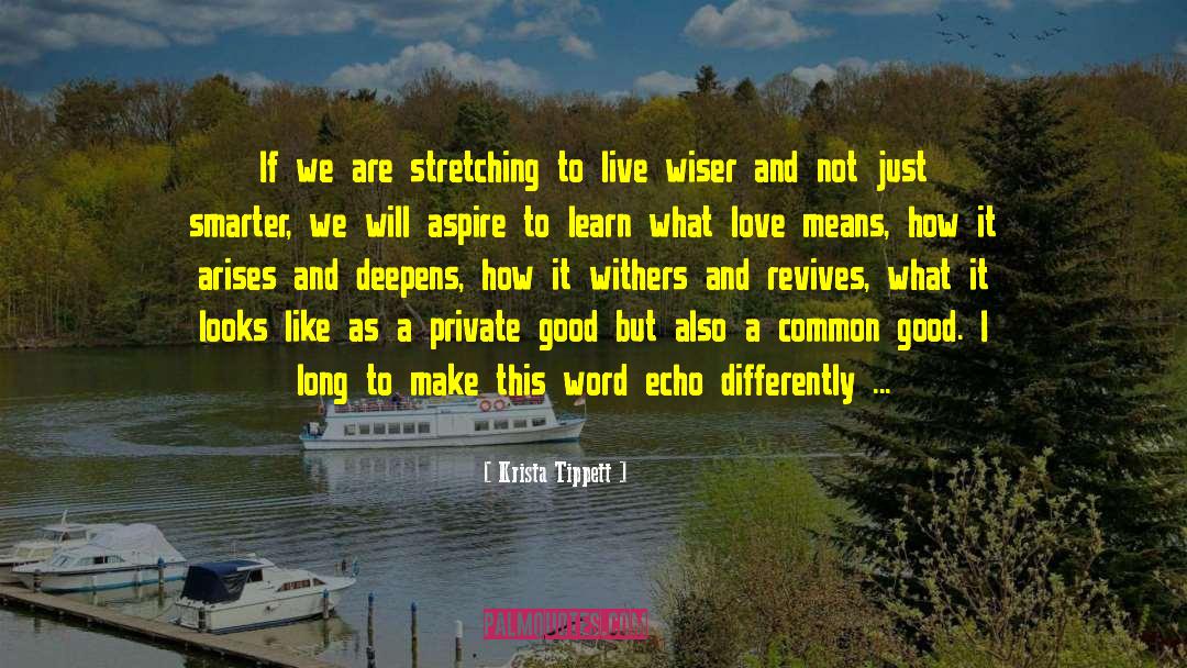 Begin Again Wisdom quotes by Krista Tippett