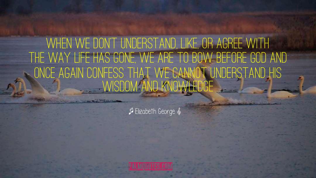 Begin Again Wisdom quotes by Elizabeth George