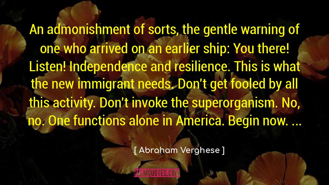 Begin Now quotes by Abraham Verghese