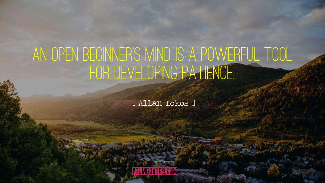 Beginners quotes by Allan Lokos