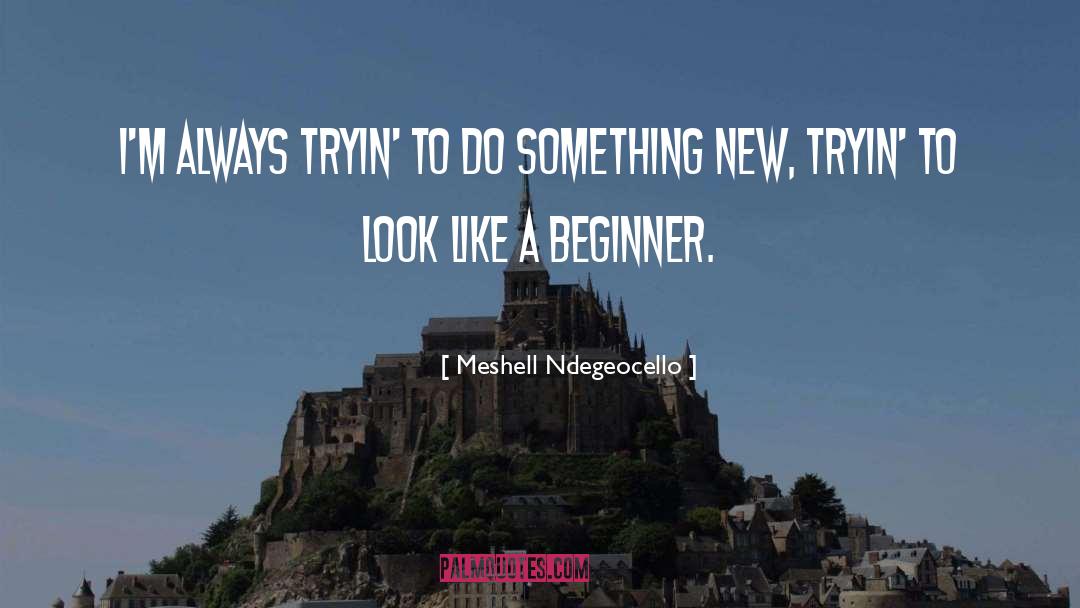 Beginners quotes by Meshell Ndegeocello
