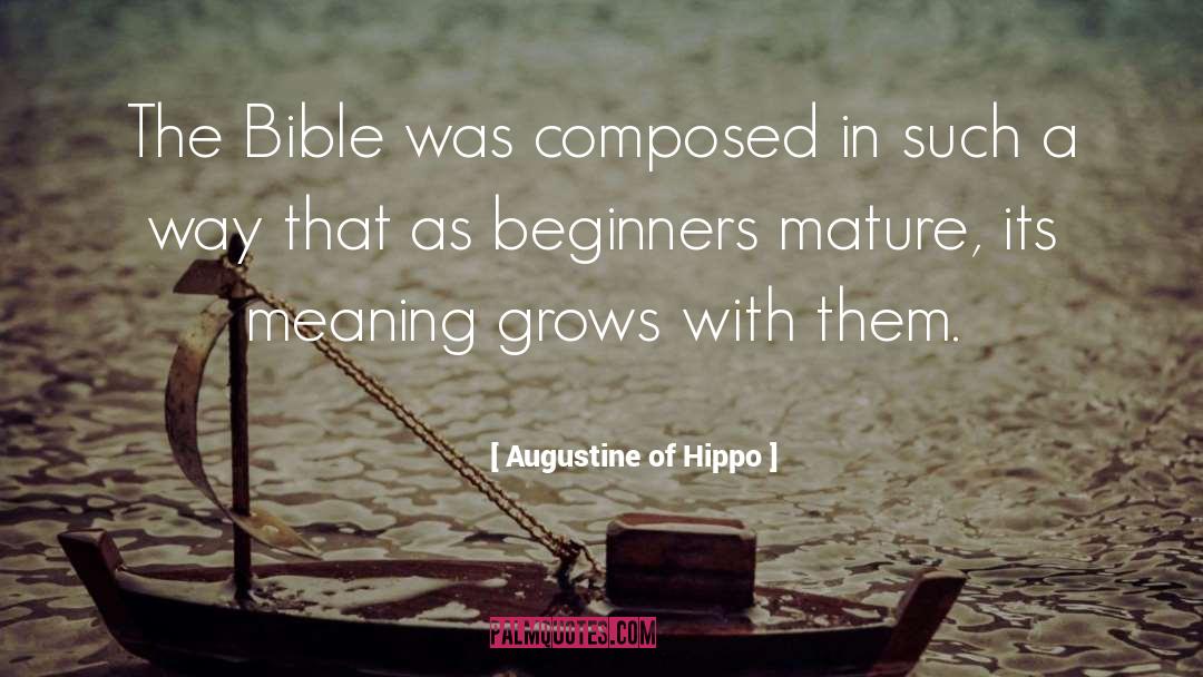 Beginners quotes by Augustine Of Hippo