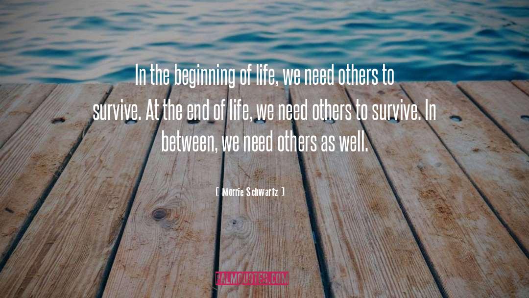 Beginning Of Life quotes by Morrie Schwartz