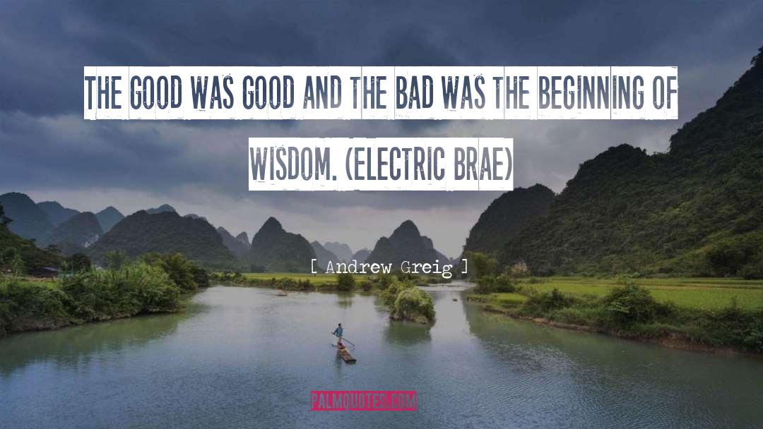 Beginning Of Wisdom quotes by Andrew Greig