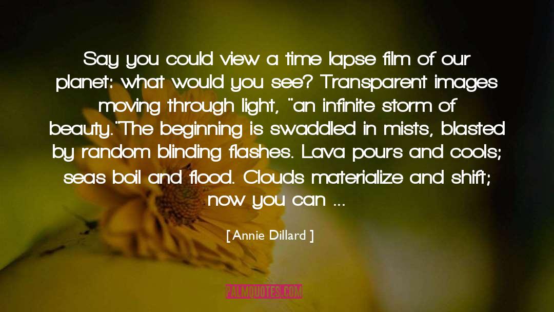 Beginning quotes by Annie Dillard