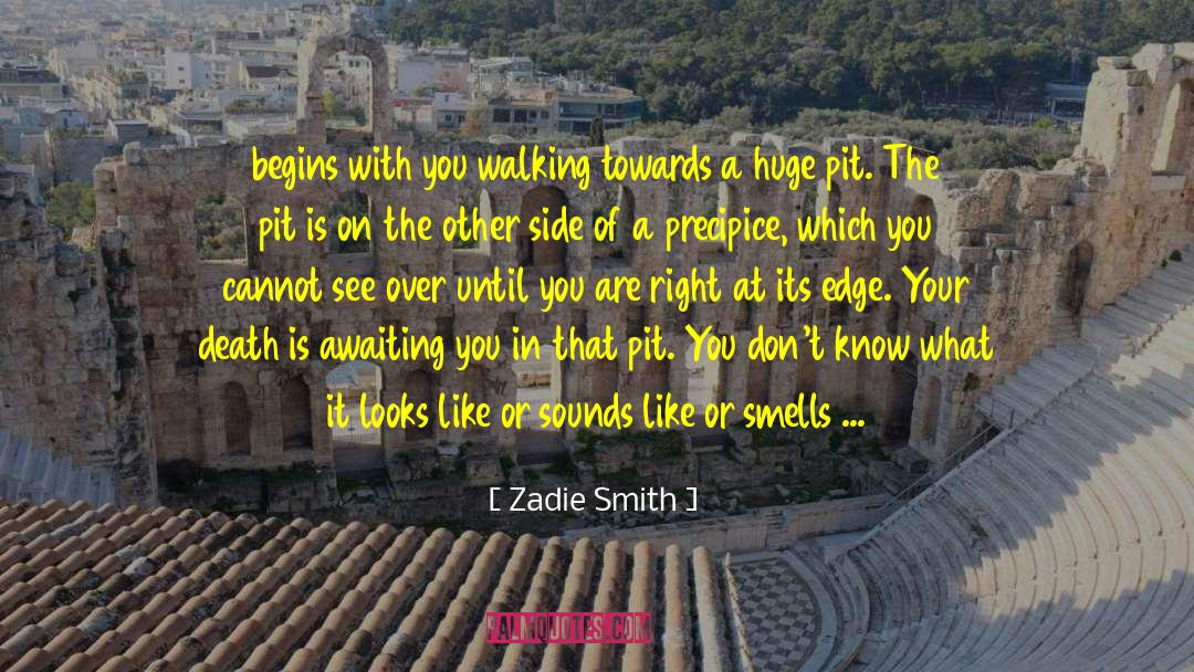 Begins With You quotes by Zadie Smith