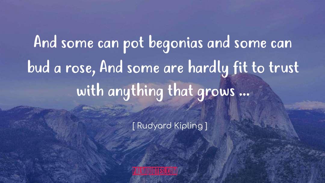 Begonias quotes by Rudyard Kipling