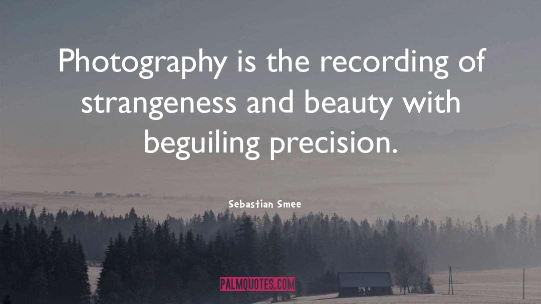 Beguiling quotes by Sebastian Smee