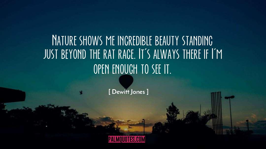 Beguiling The Beauty quotes by Dewitt Jones