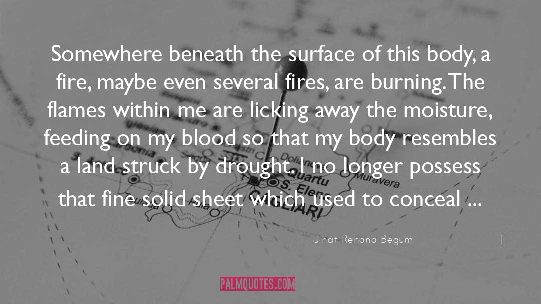 Begum quotes by Jinat Rehana Begum