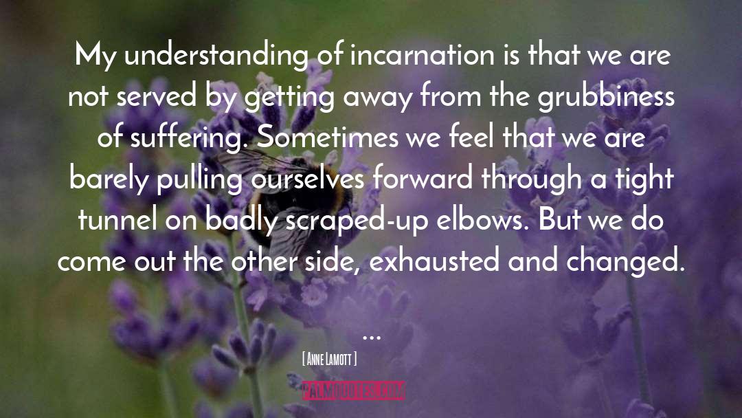 Behaving Badly quotes by Anne Lamott