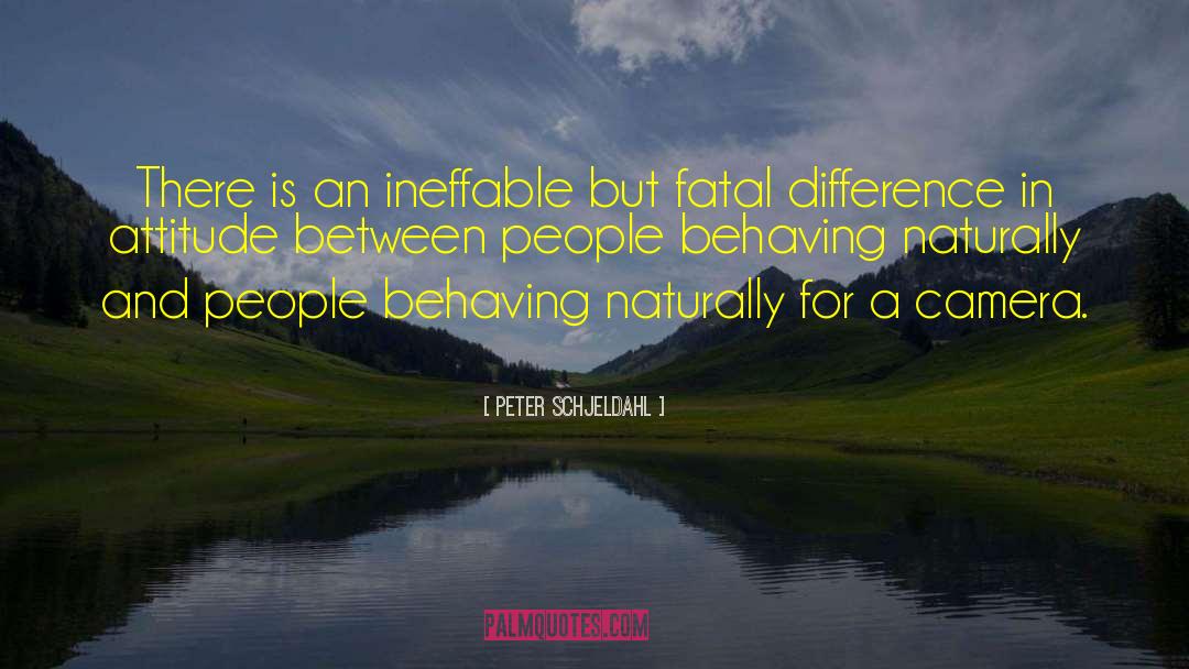 Behaving quotes by Peter Schjeldahl