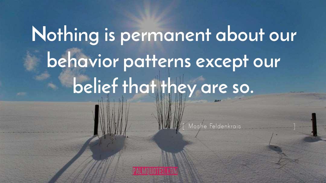 Behavior Patterns quotes by Moshe Feldenkrais