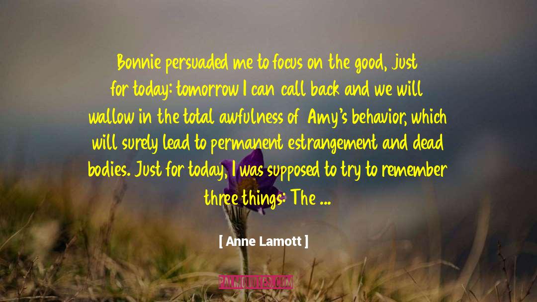 Behavior Patterns quotes by Anne Lamott