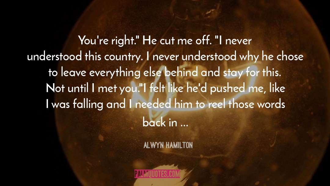 Behind quotes by Alwyn Hamilton