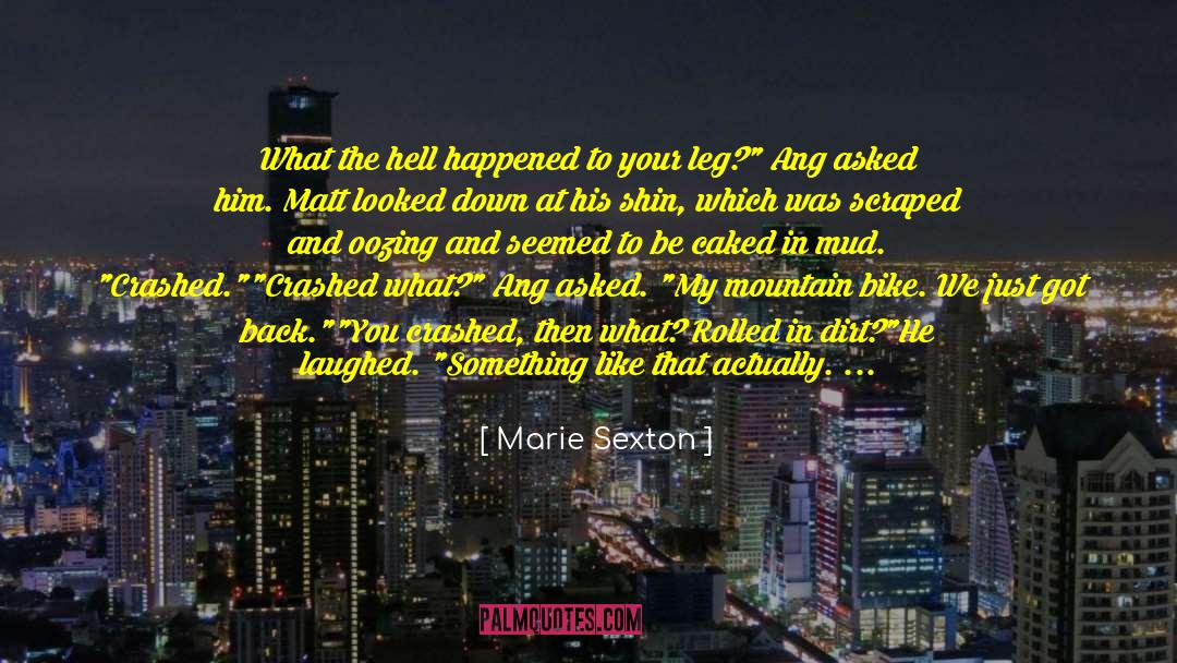 Behind The Smile quotes by Marie Sexton