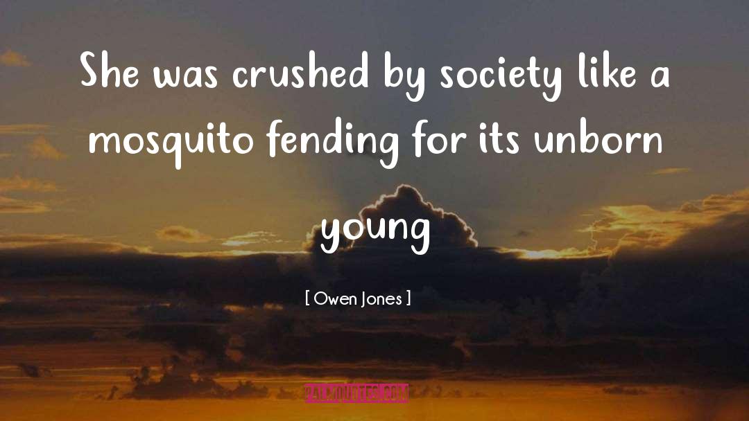 Behind The Smile quotes by Owen Jones