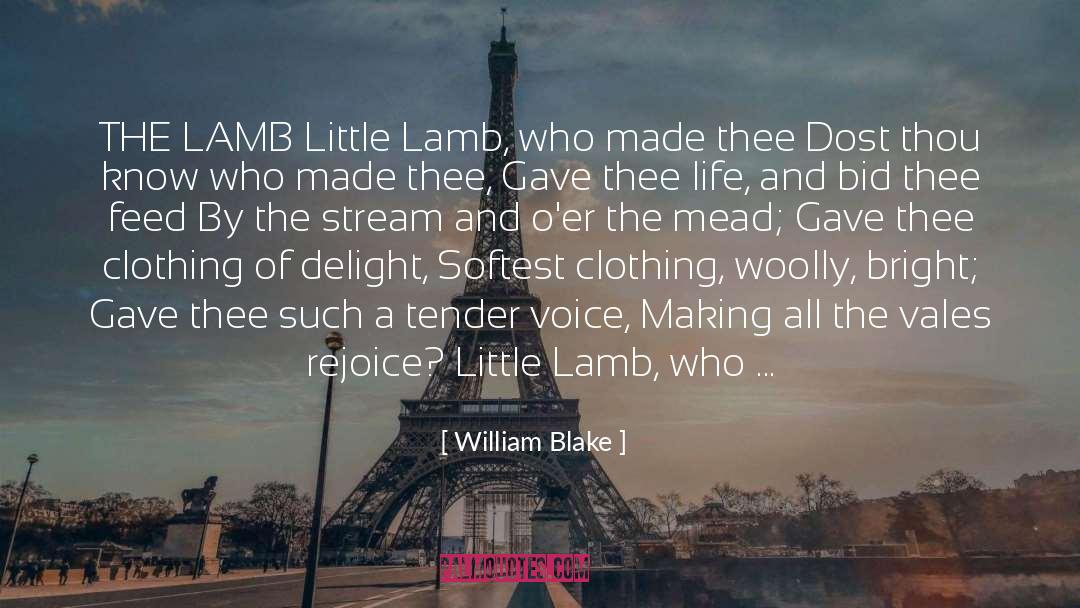 Behold The Lamb quotes by William Blake