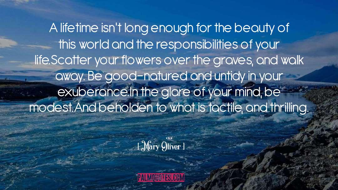 Beholden quotes by Mary Oliver