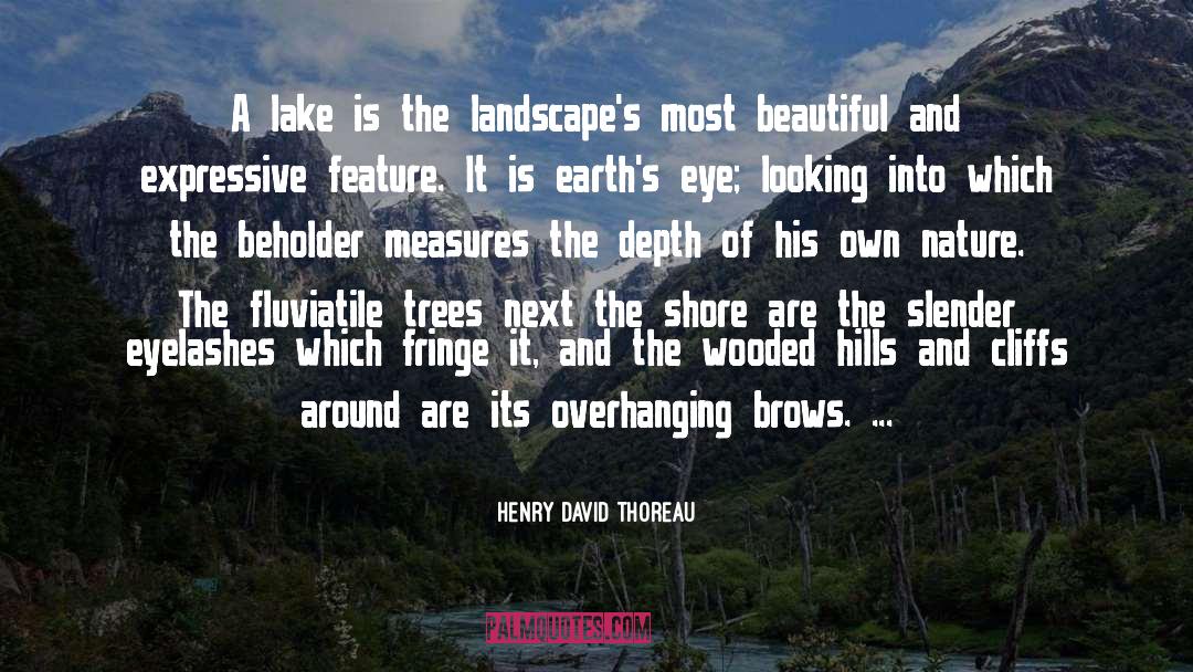 Beholder quotes by Henry David Thoreau