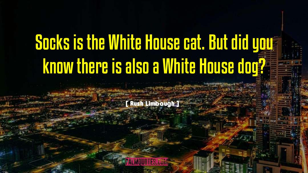 Beijing House quotes by Rush Limbaugh