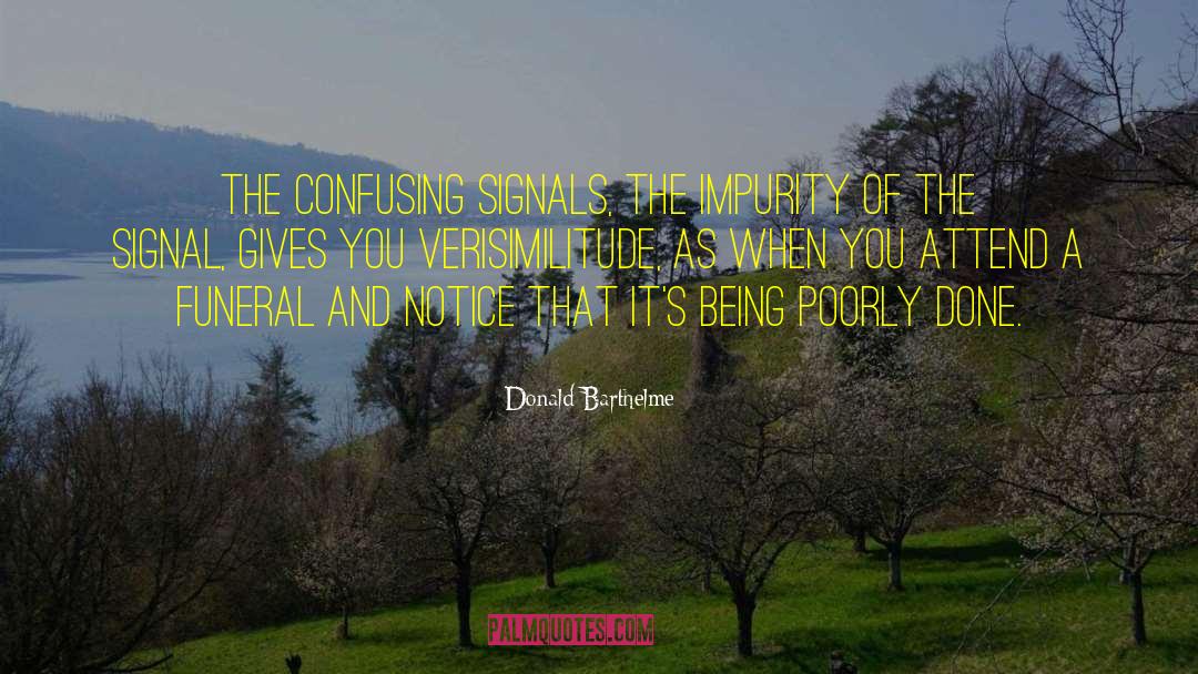 Being 28 quotes by Donald Barthelme