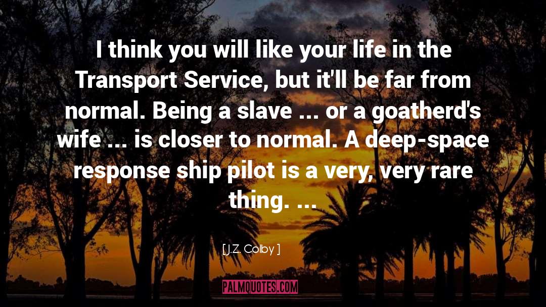Being 28 quotes by J.Z. Colby