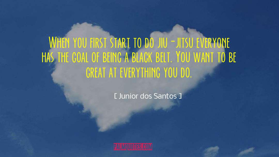 Being A Black Belt quotes by Junior Dos Santos