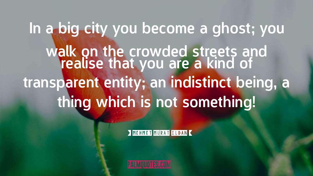 Being A Ghost quotes by Mehmet Murat Ildan