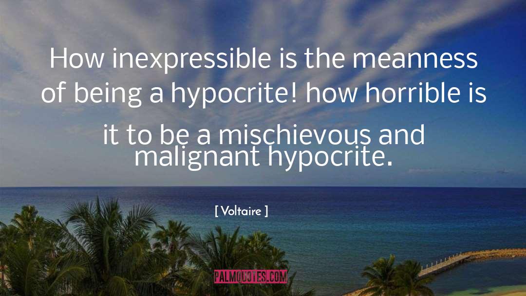 Being A Hypocrite quotes by Voltaire