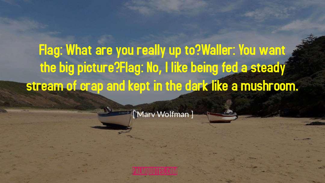 Being A Teacher quotes by Marv Wolfman