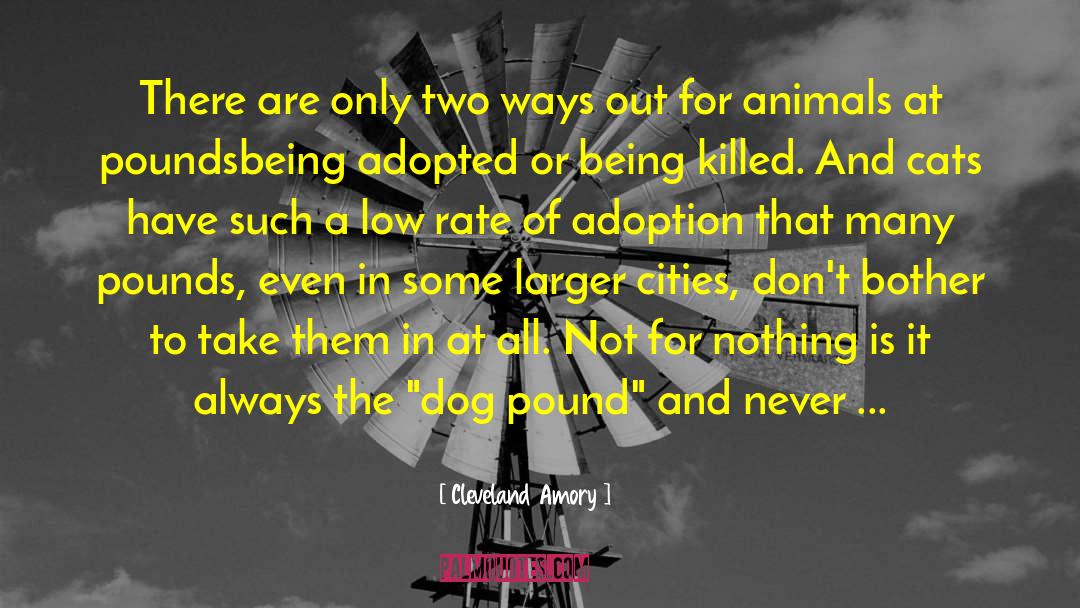 Being Adopted quotes by Cleveland Amory
