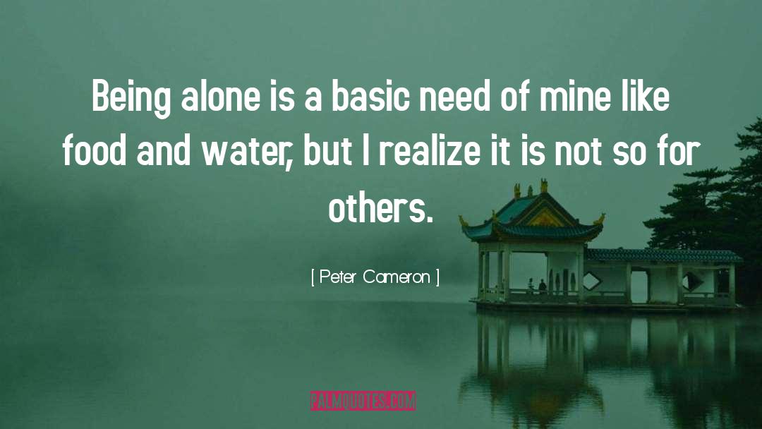 Being Alone quotes by Peter Cameron