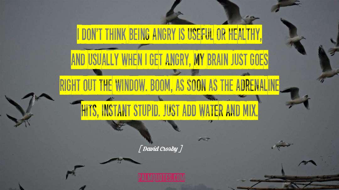 Being Angry quotes by David Crosby
