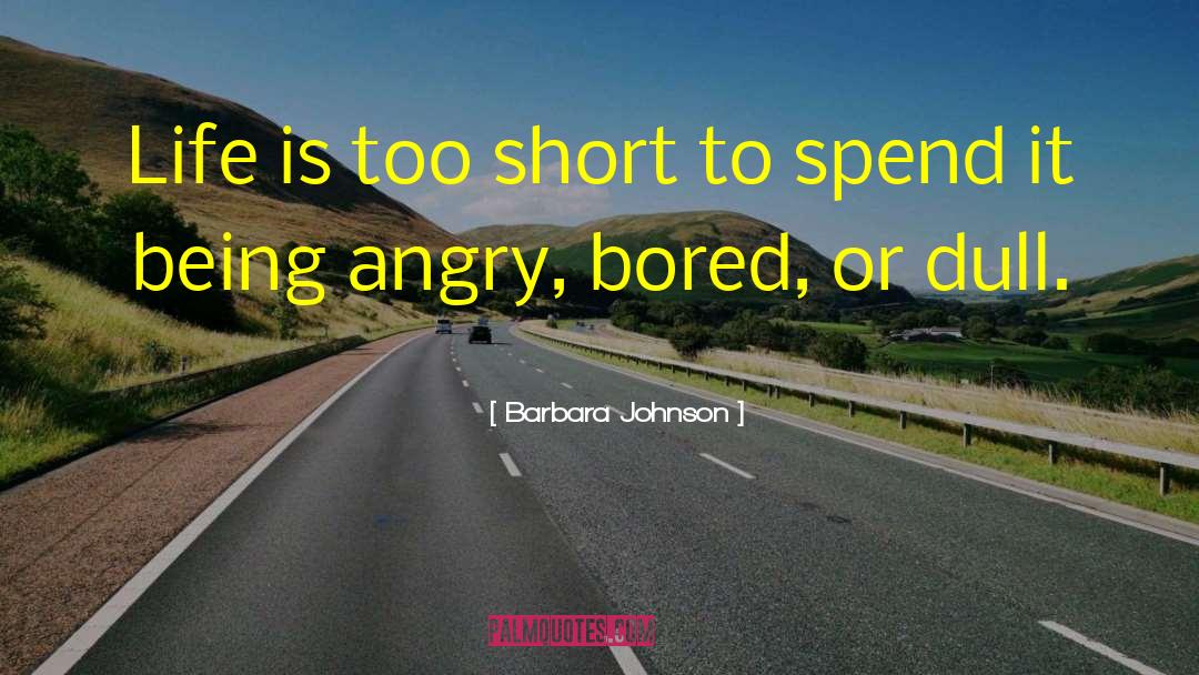 Being Angry quotes by Barbara Johnson