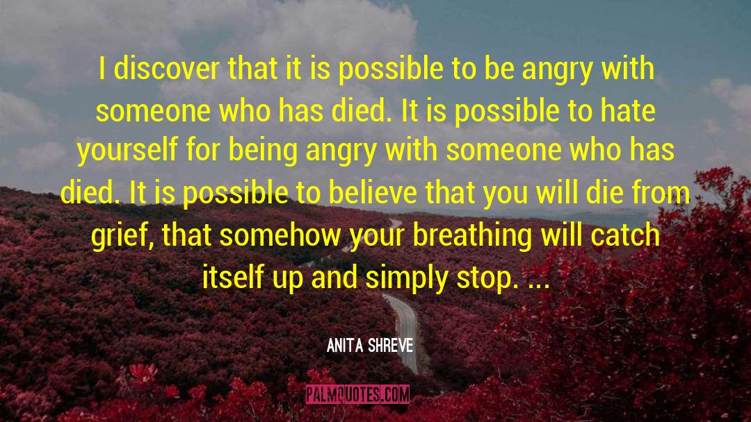 Being Angry quotes by Anita Shreve