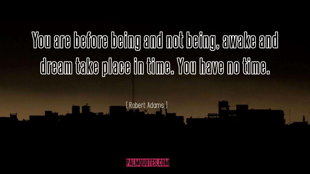 Being Awake quotes by Robert Adams