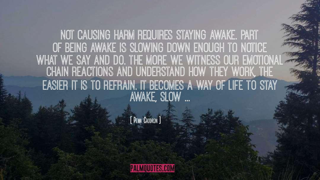 Being Awake quotes by Pema Chodron