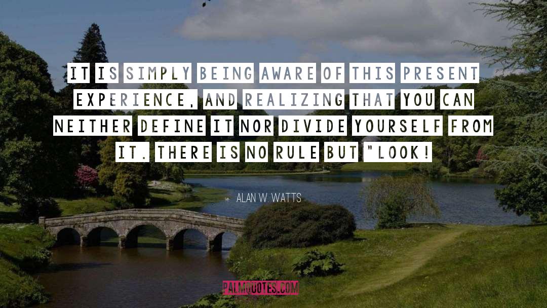 Being Aware quotes by Alan W. Watts