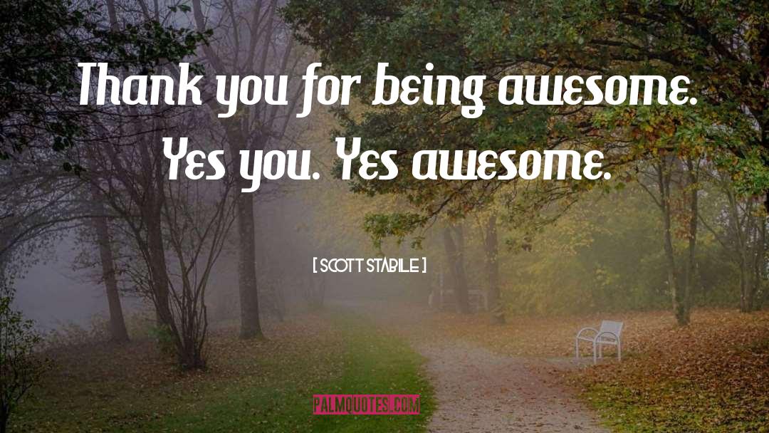 Being Awesome quotes by Scott Stabile