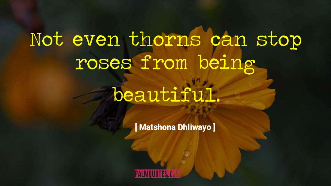 Being Beautiful quotes by Matshona Dhliwayo