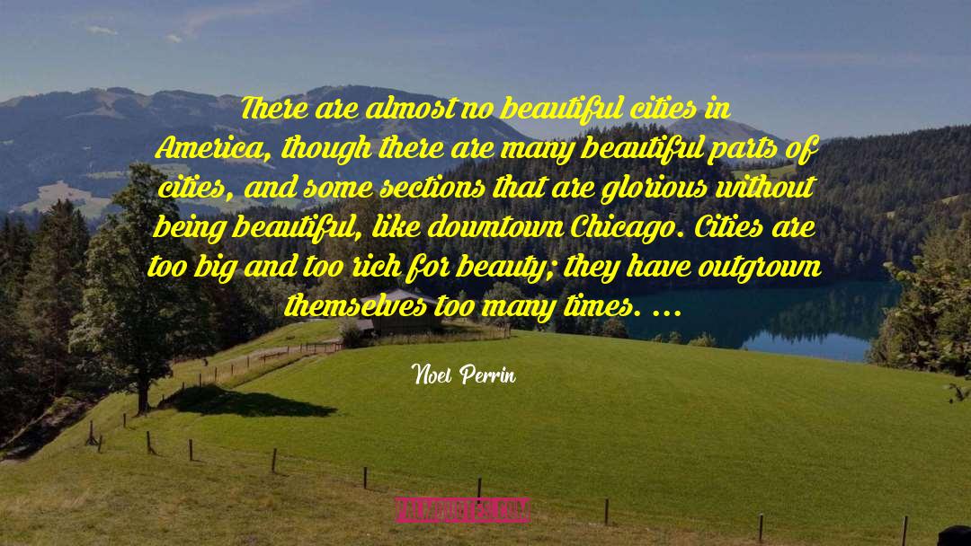 Being Beautiful quotes by Noel Perrin