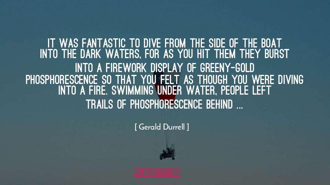 Being Behind The Wheel quotes by Gerald Durrell