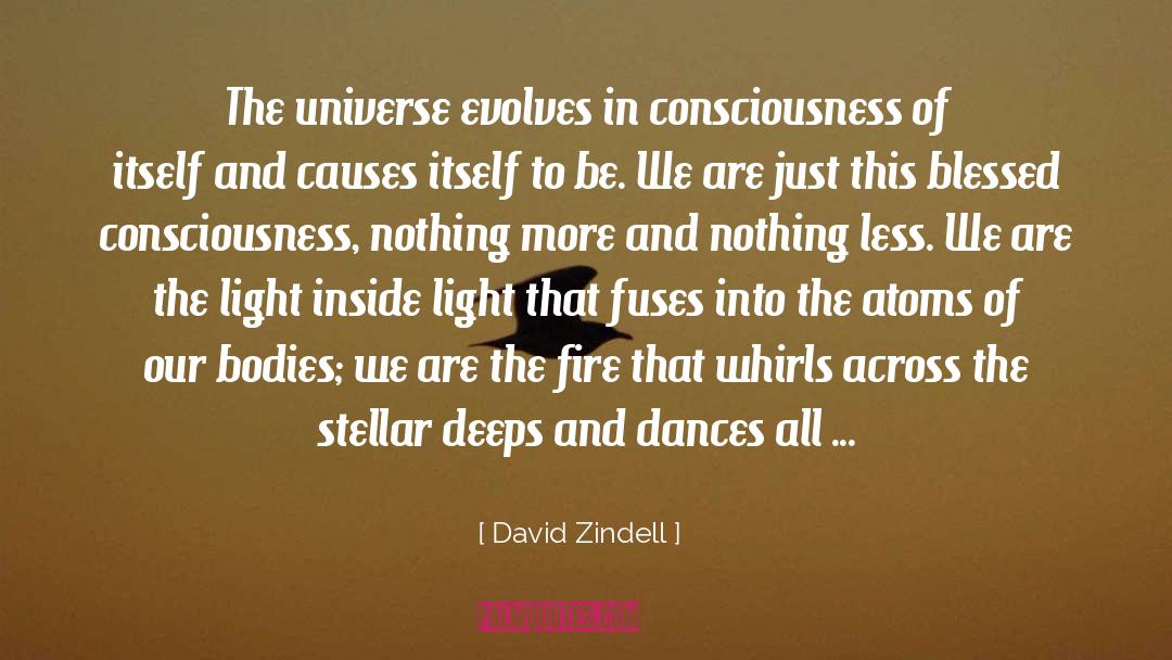 Being Blessed quotes by David Zindell