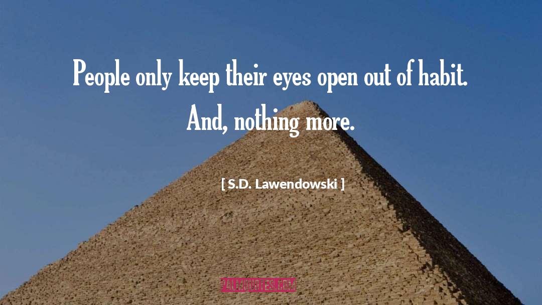Being Blindsided quotes by S.D. Lawendowski