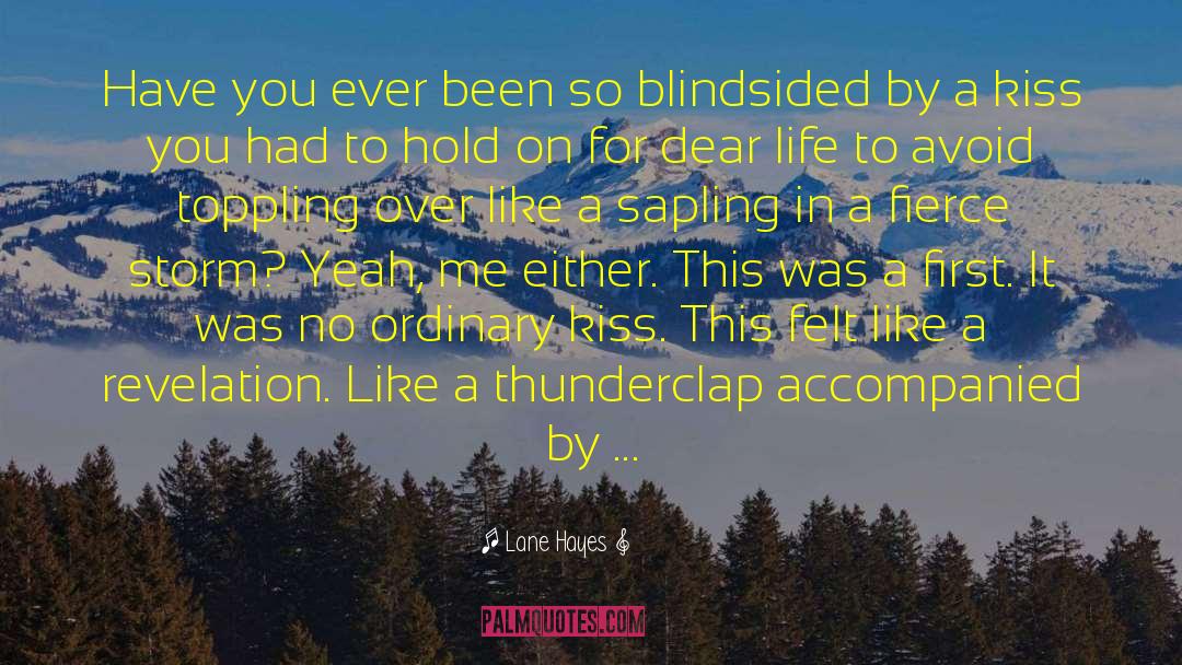 Being Blindsided quotes by Lane Hayes